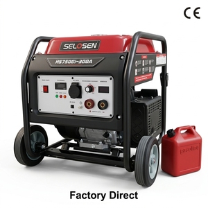 เครื่องเชื่อมแก๊สแบบเงียบสำหรับโรงงาน กำลังไฟ 5.5KW กระแสไฟ 20-300A สตาร์ทแบบแมนนวล สำหรับงานอุตสาหกรรม รุ่น HS6900-300A *แบบพกพา - Product Image 4