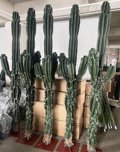 <span class=keywords><strong>Cactus</strong></span> artificiel pour la décoration intérieure, mini <span class=keywords><strong>cactus</strong></span> <span class=keywords><strong>pas</strong></span> <span class=keywords><strong>cher</strong></span>, plante artificielle d'intérieur, pot extérieur, arbres artificiels d'extérieur, <span class=keywords><strong>cactus</strong></span> - Product Image 6