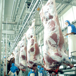 Equipos de Acero Inoxidalbe Para Matadero Vacuno Por Óptimo <span class=keywords><strong>Precio</strong></span> - Product Image 3