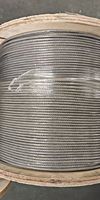 Câble de traction transparent 8*19 en acier pour ascenseur, idéal pour les bâtiments panoramiques et commerciaux