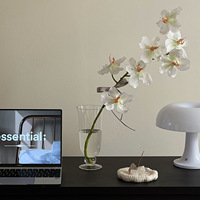 Vase en verre transparent, design minimaliste, vase hydroponique pour fleurs, décoration de vase pour la maison et l'hôtel, arrangement floral