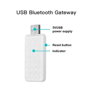 RSH Tuya jembatan Remote control, peralatan rumah pintar nirkabel Hub Gateway Bluetooth Multi Mode ZigBee + jembatan mendukung Alexa Google