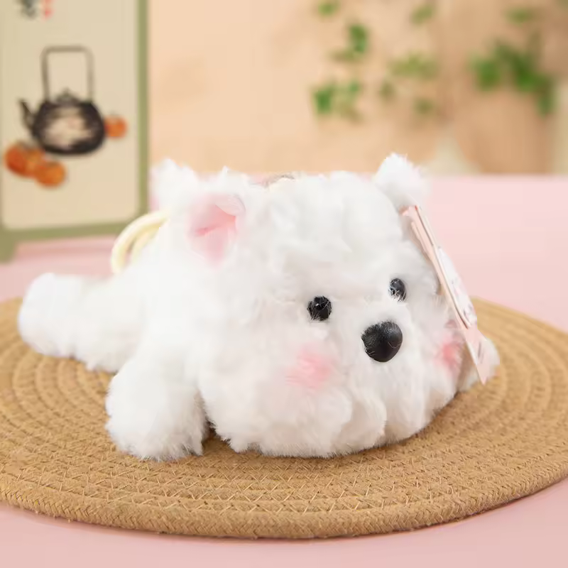 Little dog