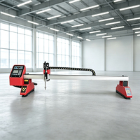 Mini-portique CNC à installation rapide pour découpe plasma et à la flamme, idéal pour les petites usines de traitement soufrant d'un espace limité