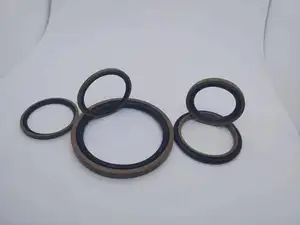 Hot Sale PTFE+Bronze NBR FKM SPGO Glyd Ring SPG SPGW Piston Seal Hydraulic Cylinder Piston Seal