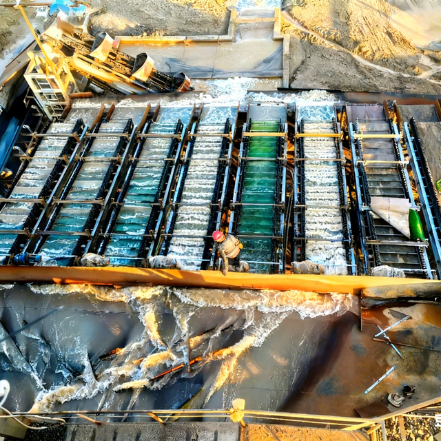 Zhongyu Dingli Customized 500 T/d Gold Mining Processing Equipment Activated Carbon Leaching CIP CIL Plant 1.5 Year Warranty