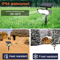 Lampe solaire à induction pour jardin, LED blanche, éclairage extérieur pour pelouse, télécommande, stockage d'énergie, éclairage de chemin, étanche IP65, pour cour