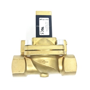 Solenoide 47619809001 47648031001 para Compresores Ir Rand, Piezas de Repuesto, Solenoide de Paro de Agua para Compresor Industrial - Product Image 1