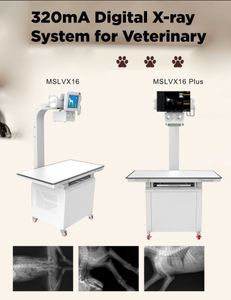 Yeni dijital <span class=keywords><strong>x</strong></span> ışını makinesi vet hayvan 20KW 320ma 30KW fix düzeltme tipi 120kV jeneratör tüp - Product Image 3