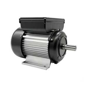 Motores Monofásicos Personalizados de 110V/220V ML100L-4-2.2kw 1500RPM 50Hz con Carcasa de Aluminio, Inducción AC - Product Image 3