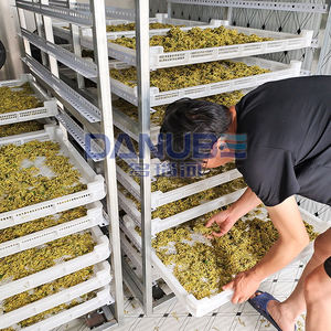 Horno Secador de Diseño Personalizado para Frutos Secos, Máquina de Deshidratación de Cacahuetes, Sala de Limpieza y Secado de Cacahuetes - Product Image 3