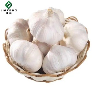 Xuất khẩu bán buôn cao cấp tỏi tươi nguồn gốc Trung Quốc - Product Image 5