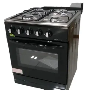 Combustible gas electric oven connected upright multifunctional intelligent household 4 gas outlets