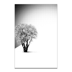 Bianco e nero <span class=keywords><strong>casa</strong></span> tranquilla albero stampa su tela Poster immagine della parete decorazione artistica pittura a olio su tela Poster stampa immagine d'<span class=keywords><strong>arte</strong></span> - Product Image 2