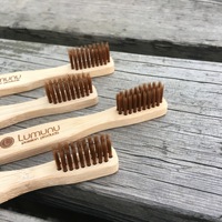 Biodégradable Eco Mini 8cm Bambou Brosse À Dents Vegan Logo Personnalisé Pour Voyage Camping Promotion