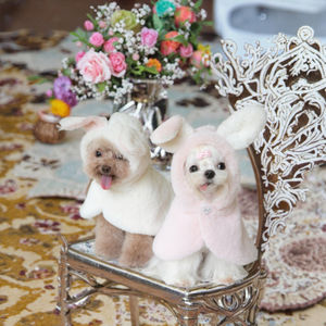 Autumn <b>Winter</b> Warm Solid Elegant XL Cloth Rabbit Cute Change Suit Pet Costume <b>Dog</b> Cloak New Year <b>Coat</b> - Product Image 2