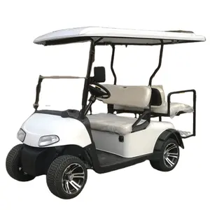 Elettrico go kart per adulti a due posti Guidati golf car mini caccia