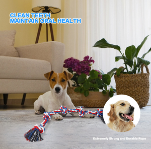 Qbellpet tüm yavru irkları agresif cheinteractive interaktif yeni yıkılmaz köpek oyuncaklar Juguete Para Perros köpekler oyuncaklar yeni oyuncaklar - Product Image 6