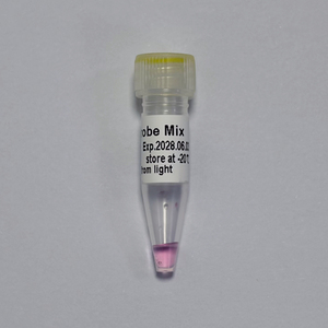 KP PCR MasterMixPlus - 2X con Probes <span class=keywords><strong>FAM</strong></span>/HEX |   GDSBio - Product Image 4