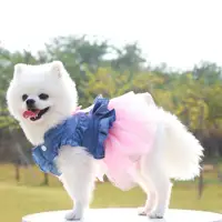 2022 पालतू कपड़े कपड़े पालतू बिल्ली स्कर्ट टेडी राजकुमारी कुत्ते पोशाक लक्जरी पालतू कपड़े