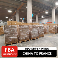 Servicio Puerta a Puerta de China a Francia, Servicio de Transporte Marítimo LCL, Soporte para Despacho de Aduanas
