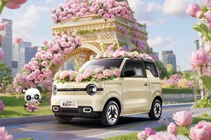 2025 para Panda Mini Yuanqi Bear, vehículo eléctrico pequeño con autonomía NEDC de 201-300 km, motor de 50 kW y batería de 30 kWh - Product Image 4