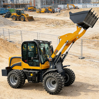 Chargeuse sur pneus compacte avec benne basculante haute pour travaux d'aménagement paysager, travaux routiers, charges agricoles et entrepôt, CE EPA EURO5, livraison gratuite