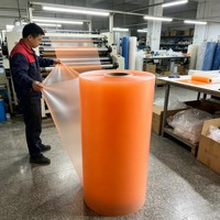 Feuille de plastique semi-transparente en PP, PET, PVC, film plastique lisse calandré, rouleau extrudé pour diffuseur d'éclairage