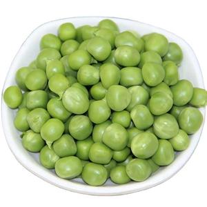 Guisantes verdes <span class=keywords><strong>dulces</strong></span> de verduras congeladas de suministro de fábrica china IQF con certificación HACCP - Product Image 1