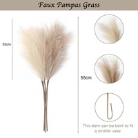 55cm 10 Pièces Herbe de la Pampa Moelleuse, Jonc Bohème, Fleurs Décoratives, Plantes, Jonc Artificiel pour Mariage, Fête, Décoration Maison et Vitrine