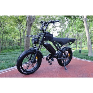 Zerogo 2025 Dropshipping V20 Pro Bicicleta Eléctrica de 250w con Cuadro de Acero, Bicicleta de Montaña con Llantas Gruesas de 20 Pulgadas, V20 Pro - Product Image 6