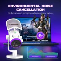 Microphone filaire pour ordinateur AM6, portable, USB Type-C, pour jeux, avec suppression du bruit, éclairage RGB, carte son de bureau