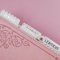 Onglets de Bible blancs laminés avec lettrage en relief doré, onglets de Bible espagnols pour femmes et hommes