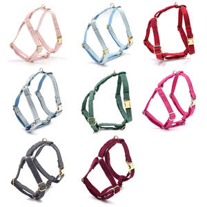 Tinny สายรัดสัตว์เลี้ยงลูกสุนัขขนาดเล็กมอลตา,สายจูงสุนัขแมวชิวาว่ารักออกแบบโลโก้ได้เอง - Product Image 6