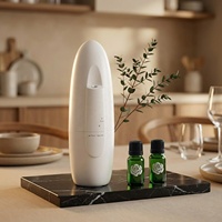 Diffuseur d'arômes d'huiles essentielles sans eau, portable, mural, contrôlé par application, de luxe, pour hôtels et usage domestique, avec logo personnalisé 2026
