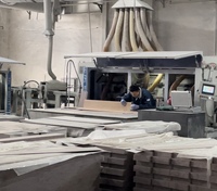 Neues Design 4mm 5mm 6mm Dicke Vinyl-Planken-Bodenbelag mit Klicksystem SPC-Bodenbelag