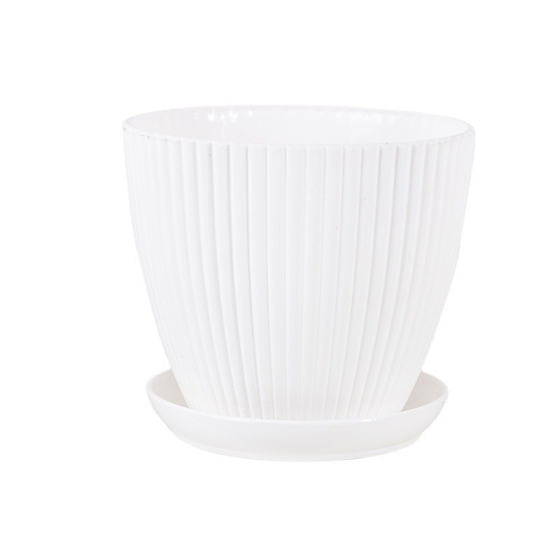 Ivory white