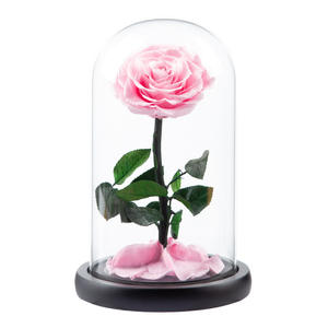 Caja de Regalo Clásica del Día de San Valentín con Diseño del Principito, Ramo de Flores Preservadas en Cúpula de Cristal, Decoración para Regalo - Product Image 4