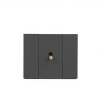 Interruptor de pared estándar europeo KLASS de 1 interruptor, gris mate profundo, interruptor de palanca modular para villas de lujo
