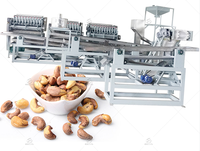 Machine automatique de traitement de coquille de noix de cajou décortiqueuse manuelle/automatique décortiqueuse efficace de noix de cajou SENYO 40-énergie de capacité de 200 kg/h