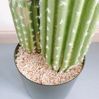 Plantes artificielles réalistes en forme de cactus, faux cactus avec pot pour la vente en gros