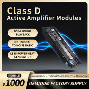 Module d'amplificateur professionnel en métal Lihui 800W à double interrupteur 2 canaux, <span class=keywords><strong>classe</strong></span> D, pour subwoofer - Product Image 3