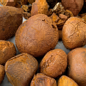 Tabletas de cálculos biliares de buey 100% naturales y genuinas para alimentación de ganado - Product Image 1