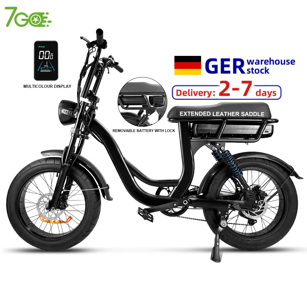 Gudang sepeda listrik, sepeda listrik 48V 750W, 7 kecepatan gigi 20 inci rem hidrolik ban lemak sepeda listrik EB8