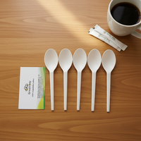 Ensemble de couverts jetables biodégradables CPLA Greenday personnalisables – Cuillères à café et à thé, agitateurs pour fêtes et événements culinaires