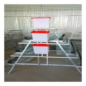 Fowl Hens Chicken Layer Cage with automatic feeder and drinker