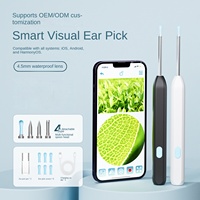 Caméra visuelle haute définition 1080P 5MP, batterie au lithium, gadget de nettoyage d'oreilles sans fil, éclairage LED qui brille dans le noir