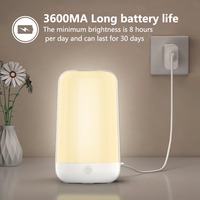 Lampe de table intelligente RVB en gros, 3600 mAh, contrôle Wi-Fi et Bluetooth via application, synchronisation musicale, veilleuse moderne pour la décoration de la salle d'ordinateur