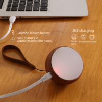 Lampe de nuit intelligente à commande vocale LED rechargeable, portable, murale, en bois, personnalisable