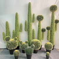 Plante artificielle en plastique réaliste, cactus artificiel sans entretien pour la décoration intérieure et extérieure, maison, bureau
